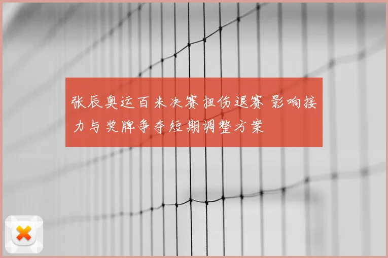 张辰奥运百米决赛扭伤退赛 影响接力与奖牌争夺短期调整方案
