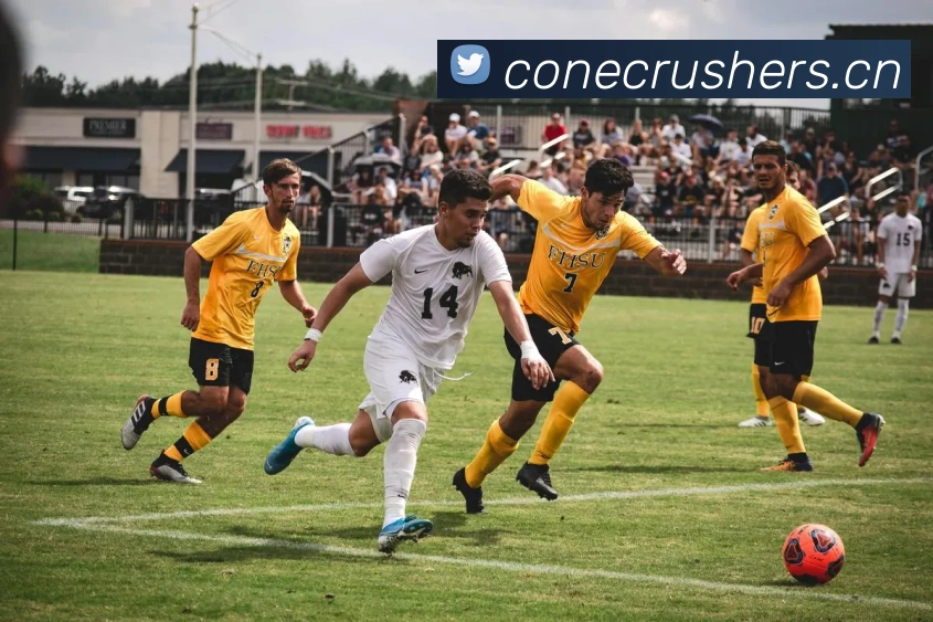 App Interface Preview